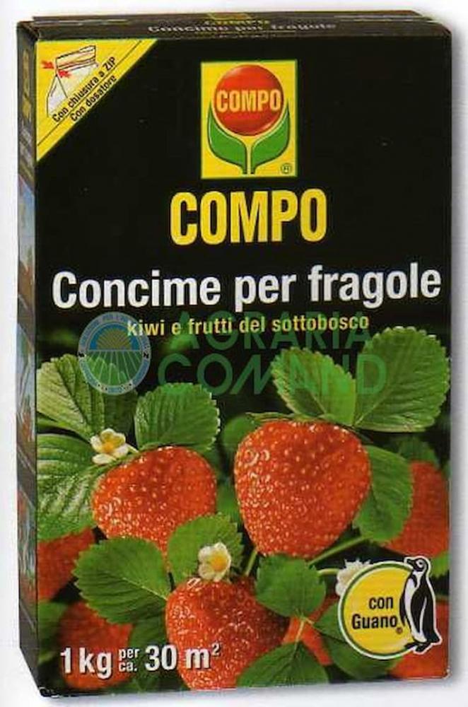 I concimi specifici per fragole aiutano a sostenere la fioritura e la produzione di frutti più sani.