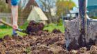 Img Vanga per orto e giardino: forme, materiali e misure da valutare