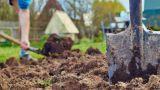 Vanga per orto e giardino: forme, materiali e misure da valutare