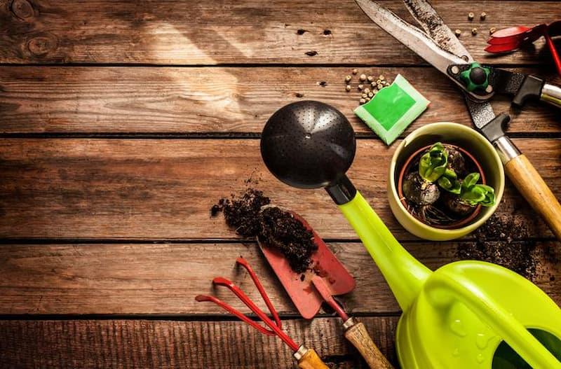 Gli attrezzi manuali completano il lavoro della vanga durante la preparazione del terreno e il trapianto.