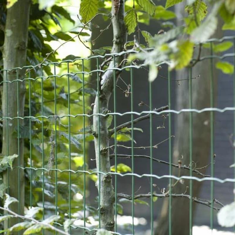 La rete metallica plastificata segue il profilo del terreno ed è indicata per recintare aree naturali e boschive.