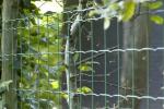 La rete metallica plastificata segue il profilo del terreno ed è indicata per recintare aree naturali e boschive.
