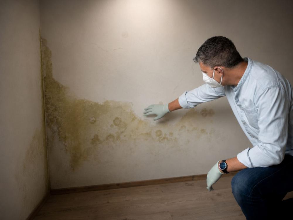 Contollo umidità in cantina - Foto Getty Images modificata con IA