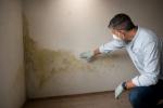Contollo umidità in cantina - Foto Getty Images modificata con IA
