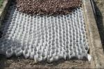 Il geotessile Plantex® GroundGrid®