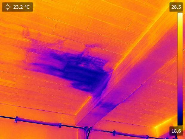 Immagine termografica di una perdita in garage 