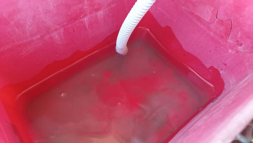 Tubo di consensa immarso nell'acqua - Foto Daniele F. Toscana