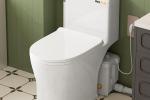 Trituratore sanitario dietro il WC - Foto Ineflo
