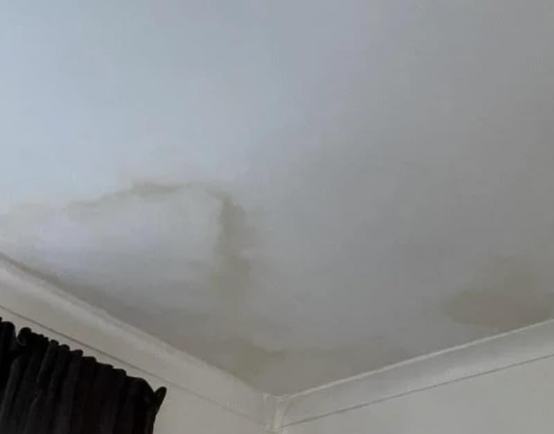 Macchie d'acqua sul soffitto - foto reddit