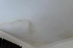 Macchie d'acqua sul soffitto - foto reddit