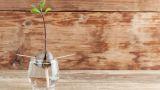 Parete ventilata interna in legno: comfort, isolamento e controllo dell&rsquo;umidit&agrave;