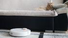 Img Divano in pelle con animali: come prevenire graffi, macchie e usura