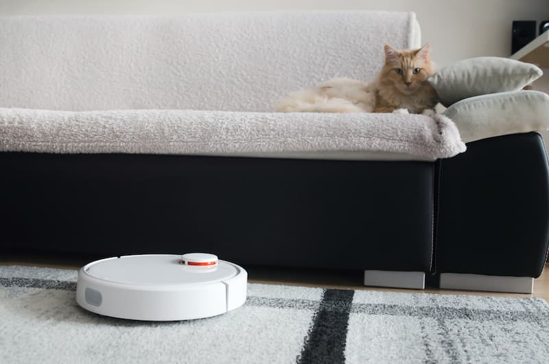 Come proteggere i divani in pelle se si hanno animali in casa