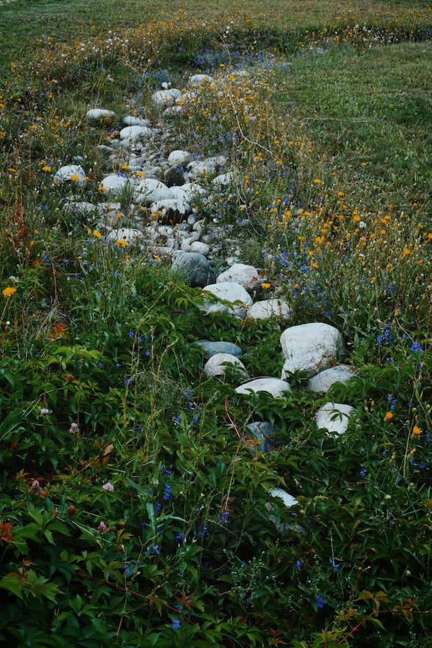 giardino con pietre