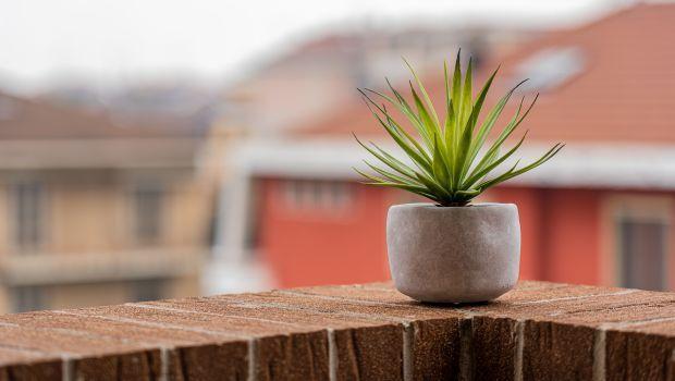 Come ridurre il caldo su un balcone con parapetto pieno