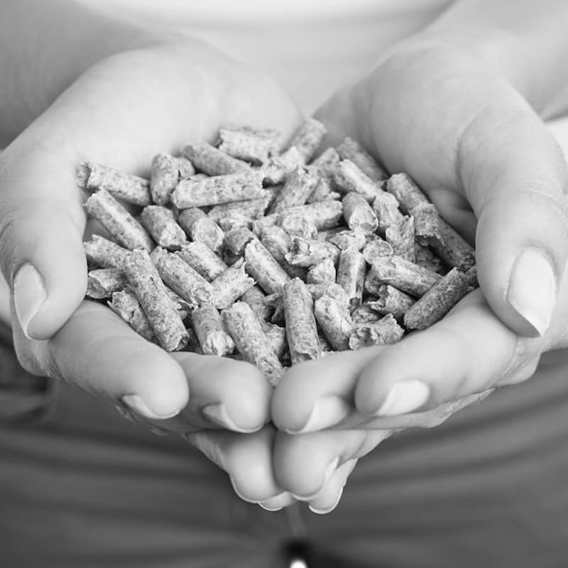 pellet sostenibilit&agrave; e risparmio