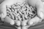 Pellet scelta ecologica e di risparmio - foto ariel energia