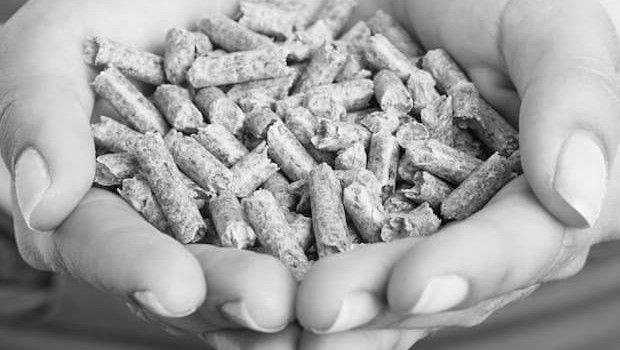 Come riconoscere un pellet di qualit&agrave; per stufe e caldaie