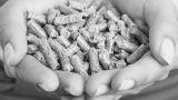Pellet di qualit&agrave;: cenere, umidit&agrave; e combustione da controllare