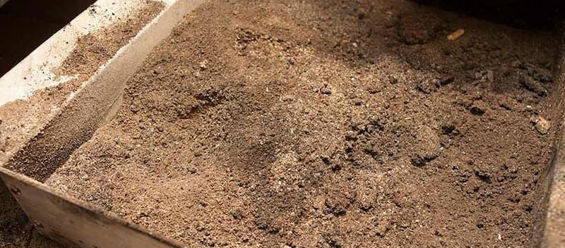 Cenere del pellet - foto pinterest