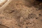 Cenere del pellet - foto pinterest