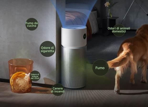 Purificatore d'aria  