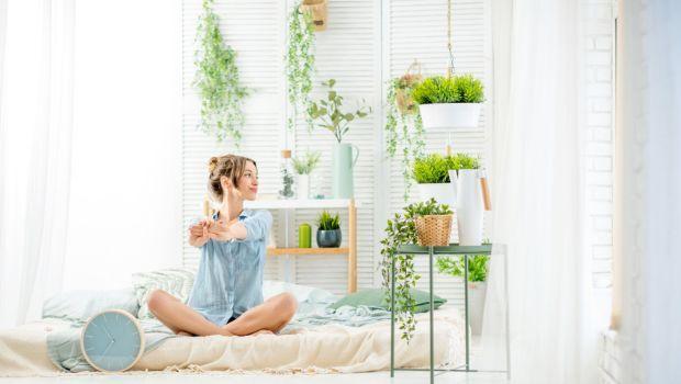 Le piante da interno purificano davvero l&rsquo;aria di casa?