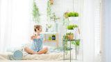 Piante che purificano l&rsquo;aria in casa: quanto sono efficaci realmente