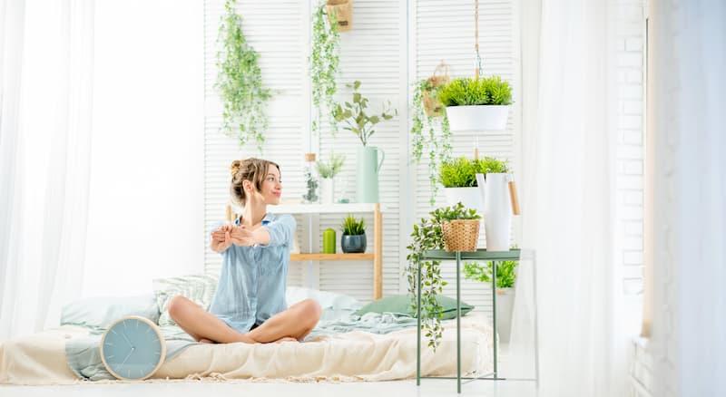 Come possono aiutare a purificare l'aria le piante da interno