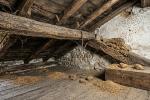 Infestazione strutturale su una trave
