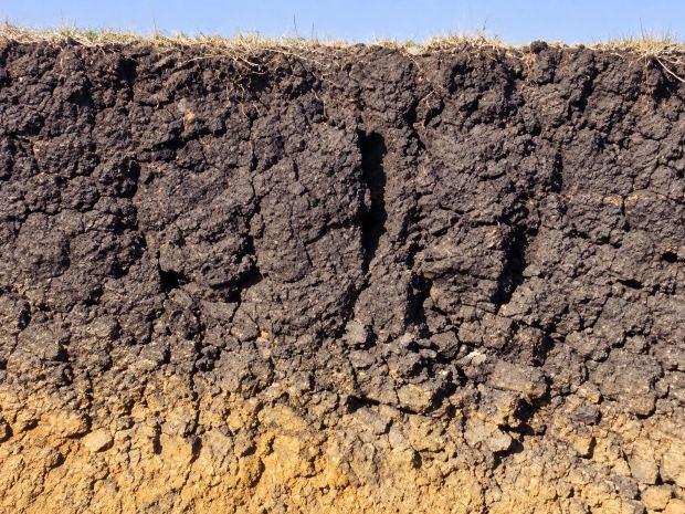 Terreno argilloso in sezione 