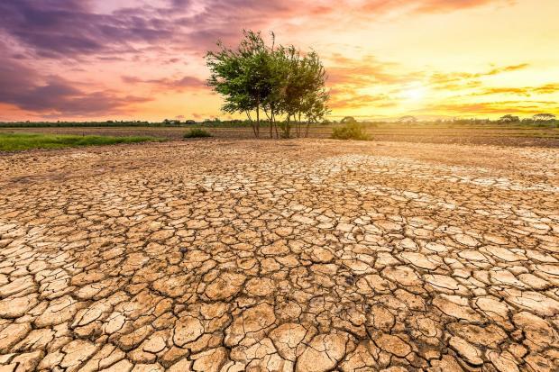 Terreno secco a causa della siccit&agrave;