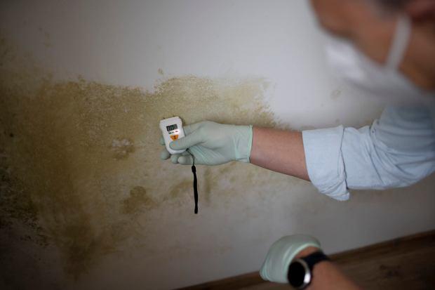 Controlli sull'umidit&agrave; di una parete 