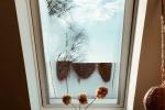 Condensa sulla finestra da tetto - foto velux