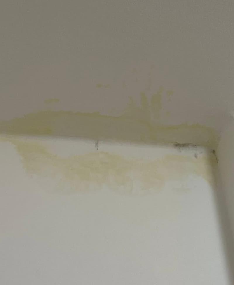 Macchia infiltrazione d'acqua - foto reddit