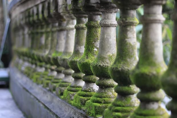 balcone con mushio