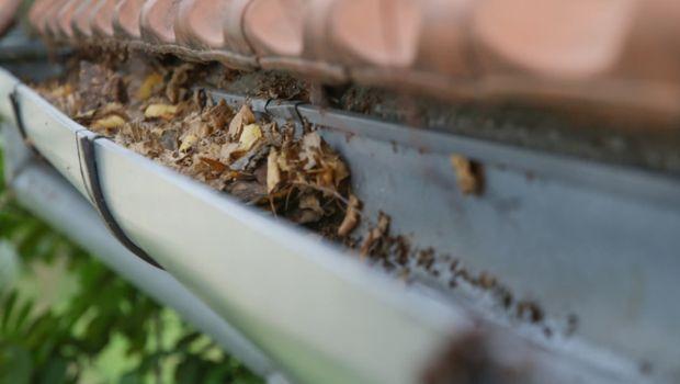 Pozzetto delle acque piovane che si riempie: dove cercare il problema