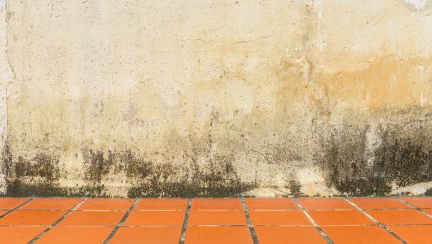 Battiscopa che si stacca con l&rsquo;umidit&agrave;: come capire la causa