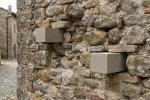 Diatoni artificiali su muro a sacco