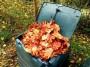 Compostiera e foglie secche