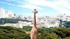 Ecosistema Urbano 2010