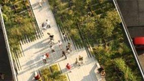 Recupero della High Line