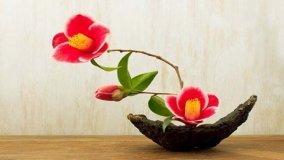 Che cos'è l'arte dell'ikebana?