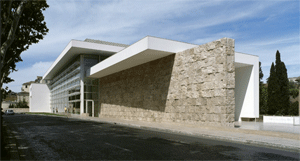 Museo dell'Ara Pacis:vista del muro esterno ( immagine tratta da www.richardmeier.com)