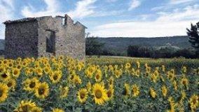 Immobili non accatastati