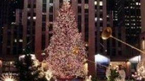 Luci decorative a pannelli solari