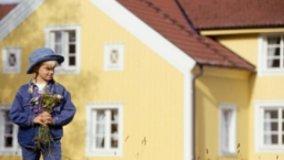 Regole di bioedilizia