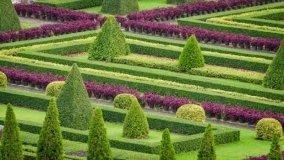 Come realizzare un giardino all'italiana
