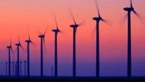 Mafia nei parchi eolici