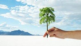 Il protocollo di Kyoto